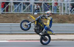Seel%20campione[1].jpg