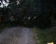 20031206_Tradet.jpg