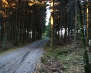 20031206__Asen_rundan_8.jpg