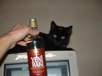 catliquor.jpg