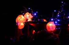 IMG_4975.jpg