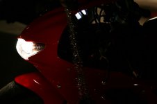 IMG_4996.jpg