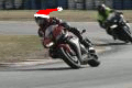 shadow.gif