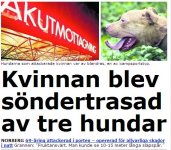 kampsportshund.JPG
