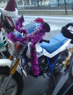 DSC00685.jpg