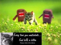 kitty.jpg