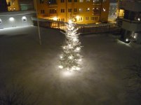 vinter 00135.JPG