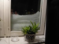 vinter 00435.JPG