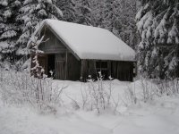 IMG_0598.jpg