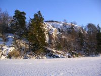 DSCN2401.jpg