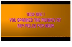 monkey.jpg