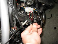 IMG_0709.jpg