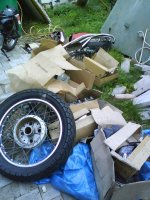 DSC00785.jpg