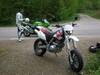 hästar 002.jpg