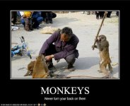monkey-attacks.jpg