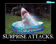 pyzamsurpriseattacks.jpg