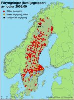 Föryngring.jpg