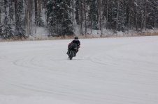 DSC_0041x.jpg