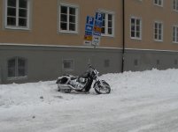 SANY0075.jpg