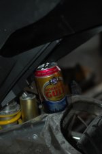 DSC_0016.jpg
