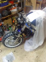 DSC00649.jpg