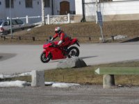 Jerry (Medium).JPG