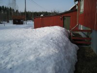 IMG_4290.jpg