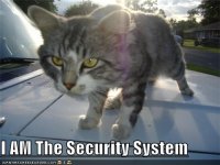 your-cars-security-system.jpg