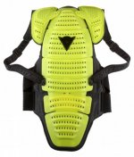 Backprotector_309_F_S.jpg