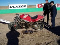 willow-triumph-down.jpg