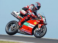 bayliss_6.jpg
