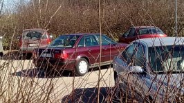 20100414 audi.jpg