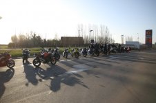 IMG_1596 copy.jpg