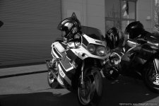 DSC_0138.jpg