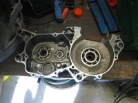 IMG_1637.jpg