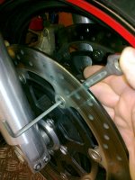 20100511049a.JPG