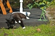 DSC_1171.jpg