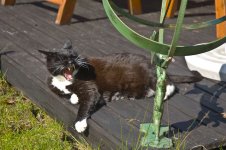 DSC_1173.jpg