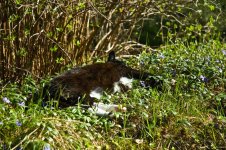 DSC_1185.jpg