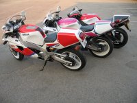 IMG_0231 hp.jpg