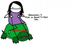 ride-a-turtle.jpg