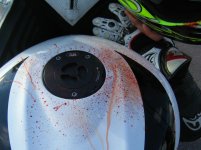 IMG_3658_02.jpg