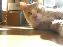 DSCF5641.jpg