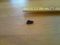 DSC00714.JPG