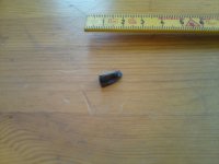 DSC00715.JPG