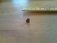 DSC00717.JPG