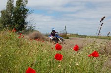 crossmidsommar 079.JPG