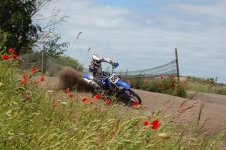 crossmidsommar 081.JPG