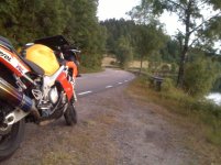 IMG_0379.jpg