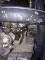20100707077.jpg